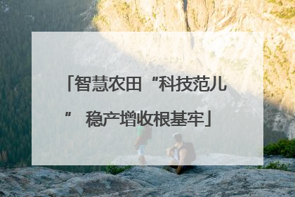 智慧农田“科技范儿” 稳产增收根基牢