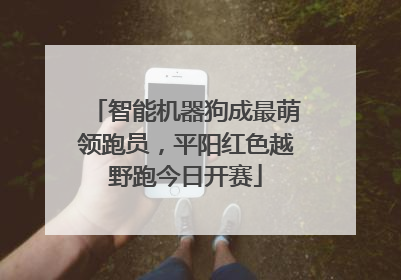 智能机器狗成最萌领跑员，平阳红色越野跑今日开赛
