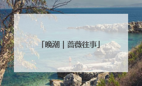 晚潮｜蔷薇往事