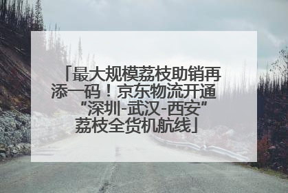 最大规模荔枝助销再添一码！京东物流开通“深圳-武汉-西安” 荔枝全货机航线