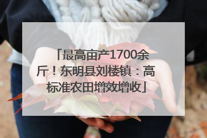 最高亩产1700余斤！东明县刘楼镇：高标准农田增效增收