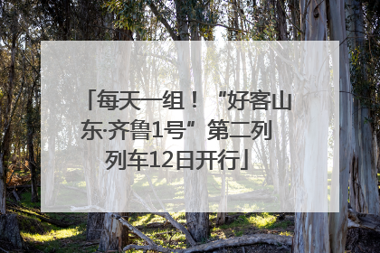 每天一组！“好客山东·齐鲁1号”第二列列车12日开行