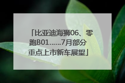 比亚迪海狮06、零跑B01……7月部分重点上市新车展望