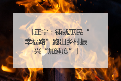 正宁：铺就惠民“幸福路”跑出乡村振兴“加速度”