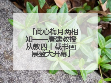 此心梅月两相知——唐建教授从教四十载书画展盛大开幕