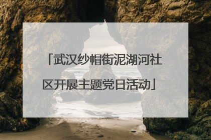 武汉纱帽街泥湖河社区开展主题党日活动