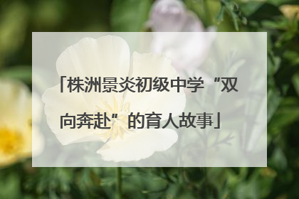 株洲景炎初级中学“双向奔赴”的育人故事