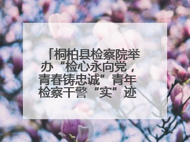 桐柏县检察院举办“检心永向党，青春铸忠诚”青年检察干警“实”迹展示活动