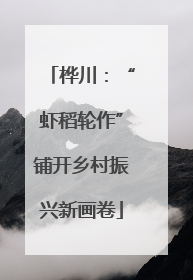 桦川：“虾稻轮作”铺开乡村振兴新画卷