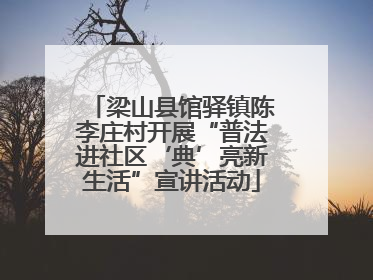 梁山县馆驿镇陈李庄村开展“普法进社区‘典’亮新生活”宣讲活动