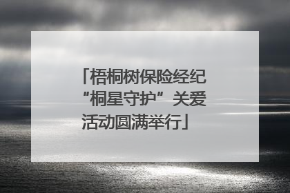 梧桐树保险经纪“桐星守护”关爱活动圆满举行
