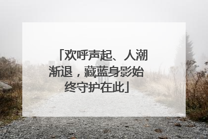 欢呼声起、人潮渐退，藏蓝身影始终守护在此