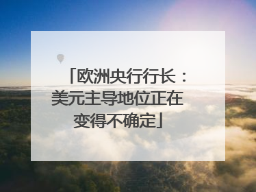 欧洲央行行长：美元主导地位正在变得不确定