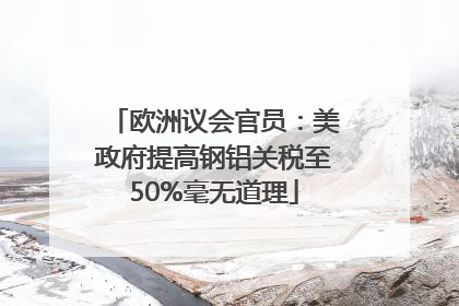欧洲议会官员：美政府提高钢铝关税至50%毫无道理