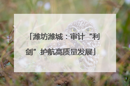潍坊潍城：审计“利剑”护航高质量发展