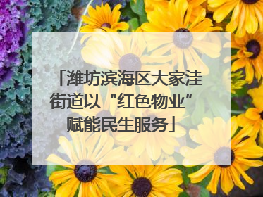 潍坊滨海区大家洼街道以“红色物业”赋能民生服务
