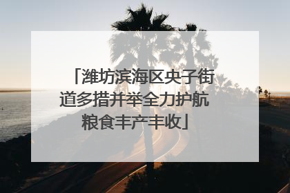 潍坊滨海区央子街道多措并举全力护航粮食丰产丰收