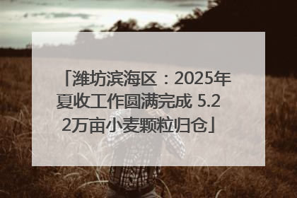 潍坊滨海区：2025年夏收工作圆满完成 5.22万亩小麦颗粒归仓
