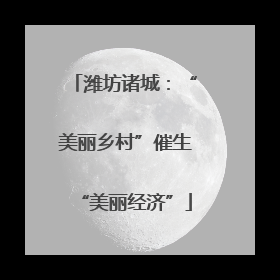 潍坊诸城：“美丽乡村”催生“美丽经济”