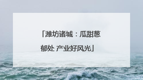潍坊诸城：瓜甜葱郁处 产业好风光