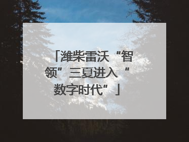 潍柴雷沃“智领”三夏进入“数字时代”