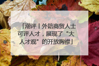 潮评丨外籍商贸人士可评人才，展现了“大人才观”的开放胸襟