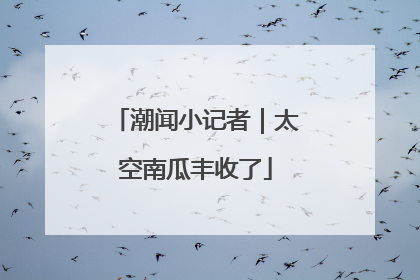 潮闻小记者｜太空南瓜丰收了