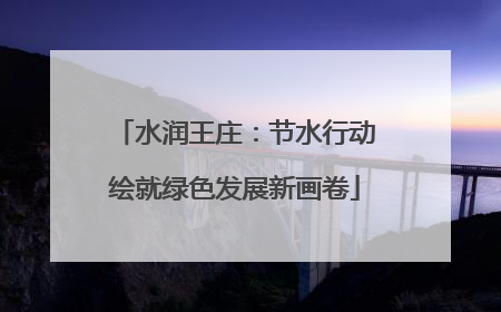 水润王庄：节水行动绘就绿色发展新画卷