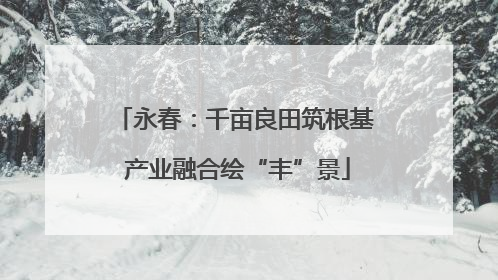 永春：千亩良田筑根基 产业融合绘“丰”景