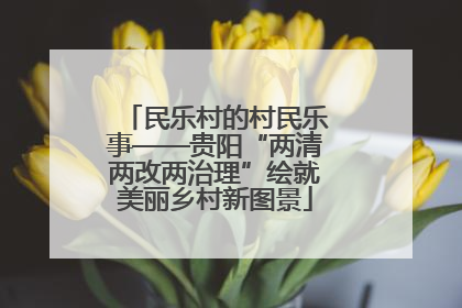 民乐村的村民乐事——贵阳“两清两改两治理”绘就美丽乡村新图景
