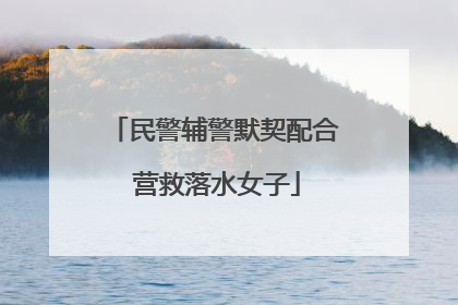 民警辅警默契配合 营救落水女子