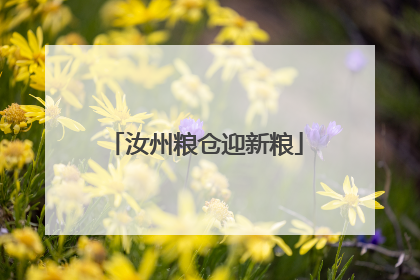 汝州粮仓迎新粮
