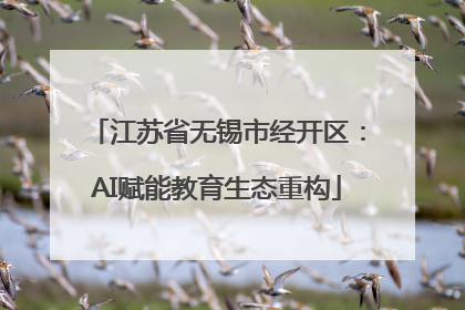 江苏省无锡市经开区：AI赋能教育生态重构