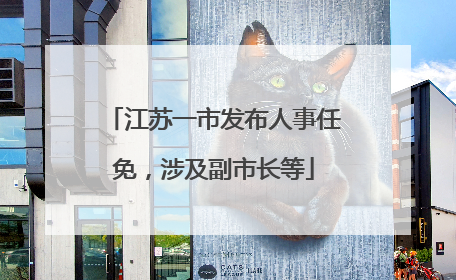 江苏一市发布人事任免，涉及副市长等