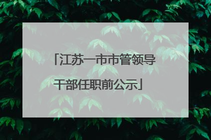 江苏一市市管领导干部任职前公示