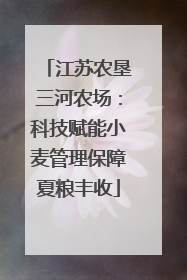 江苏农垦三河农场：科技赋能小麦管理保障夏粮丰收