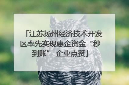 江苏扬州经济技术开发区率先实现惠企资金“秒到账” 企业点赞