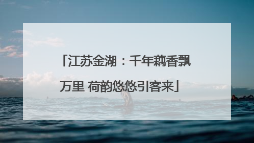 江苏金湖：千年藕香飘万里 荷韵悠悠引客来