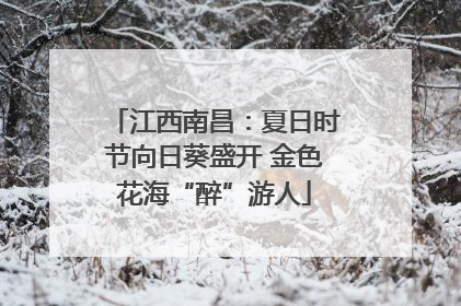 江西南昌：夏日时节向日葵盛开 金色花海“醉”游人