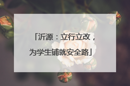 沂源：立行立改，为学生铺就安全路