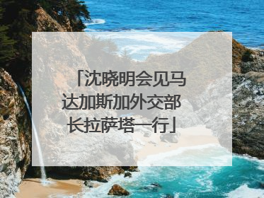沈晓明会见马达加斯加外交部长拉萨塔一行