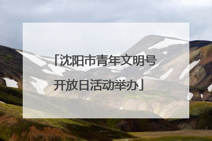 沈阳市青年文明号开放日活动举办