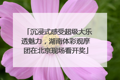 沉浸式感受超级大乐透魅力，湖南体彩观摩团在北京现场看开奖