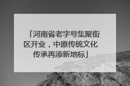 河南省老字号集聚街区开业，中原传统文化传承再添新地标