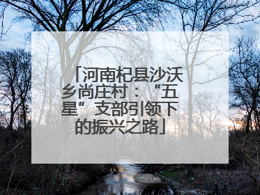 河南杞县沙沃乡尚庄村：“五星”支部引领下的振兴之路