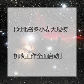 河北省冬小麦大规模机收工作全面启动