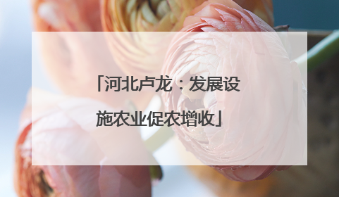 河北卢龙：发展设施农业促农增收