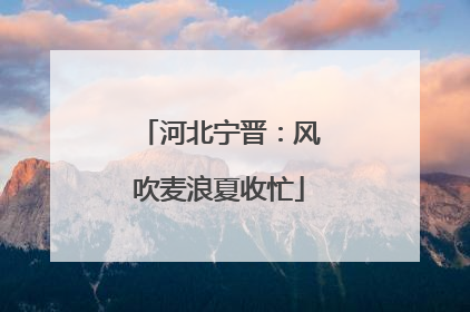 河北宁晋：风吹麦浪夏收忙