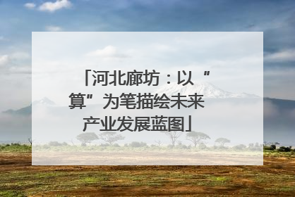 河北廊坊：以“算”为笔描绘未来产业发展蓝图
