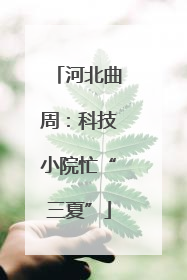 河北曲周：科技小院忙“三夏”